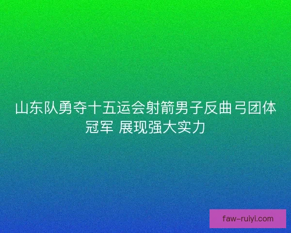 山东队勇夺十五运会射箭男子反曲弓团体冠军 展现强大实力 山东队勇夺十五运会射箭男子反曲弓团体冠军 展现强大实力